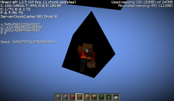 Void – Minecraft Wiki