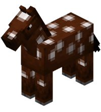 Brown Horse with White Spots