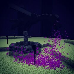 Ender Dragon Official Minecraft Wiki