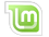 Mint logo.
