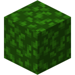 Acacia Leaves (fast) BE