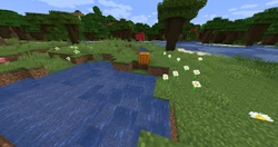 A floating pumpkin due to ponds being generated after the rest of the terrain.