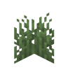 Grass