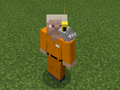 Gray Parrot on Prisoner Steve.png