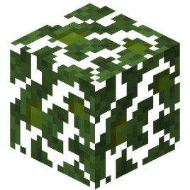 Jungla