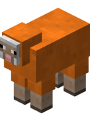 Orange Sheep JE3