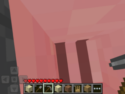 Insidepigsleg.png