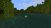 Preset mangrove swamp