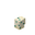 Turtle Egg 2 JE1