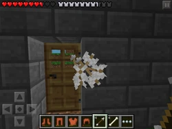 Arrows shot into a door that was opened, causing a floating bug.