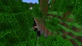 Jungle Bush – Minecraft Wiki