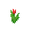 Red Tulip.png