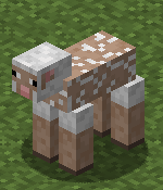 Sheep eating grass.gif