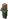 Nitwit