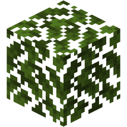 Plains