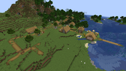 Village in Plains biomes.png