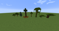 Oak, birch, spruce, jungle, acacia, and dark oak trees.