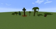Trees