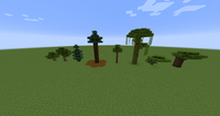 Trees