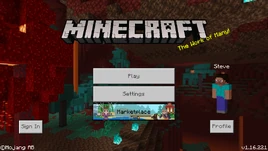 Bedrock 1.16.221