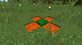 A cactus surviving in lava (currently only achievable through /setblock).