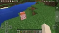 Second image of pig riding in Bedrock Edition.