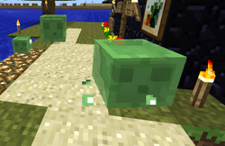 How to find slime in Minecraft easily