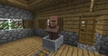 A villager riding a minecart.