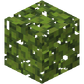 Azalea Leaves BE1.png