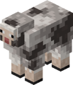 A rocky sheep.