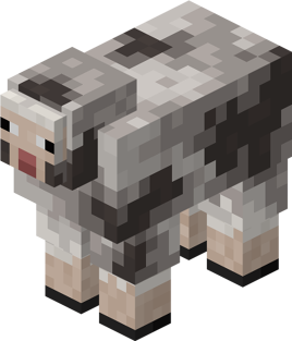 Rocky Sheep
