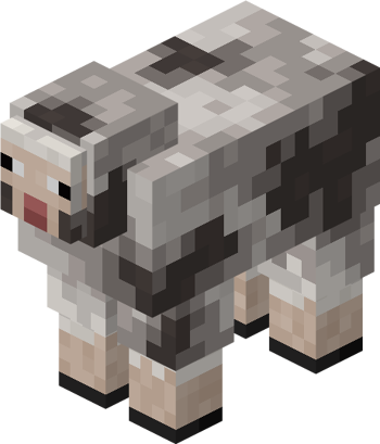 Rocky Sheep