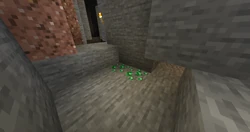 Two blobs of emerald ores that generated nearly together.