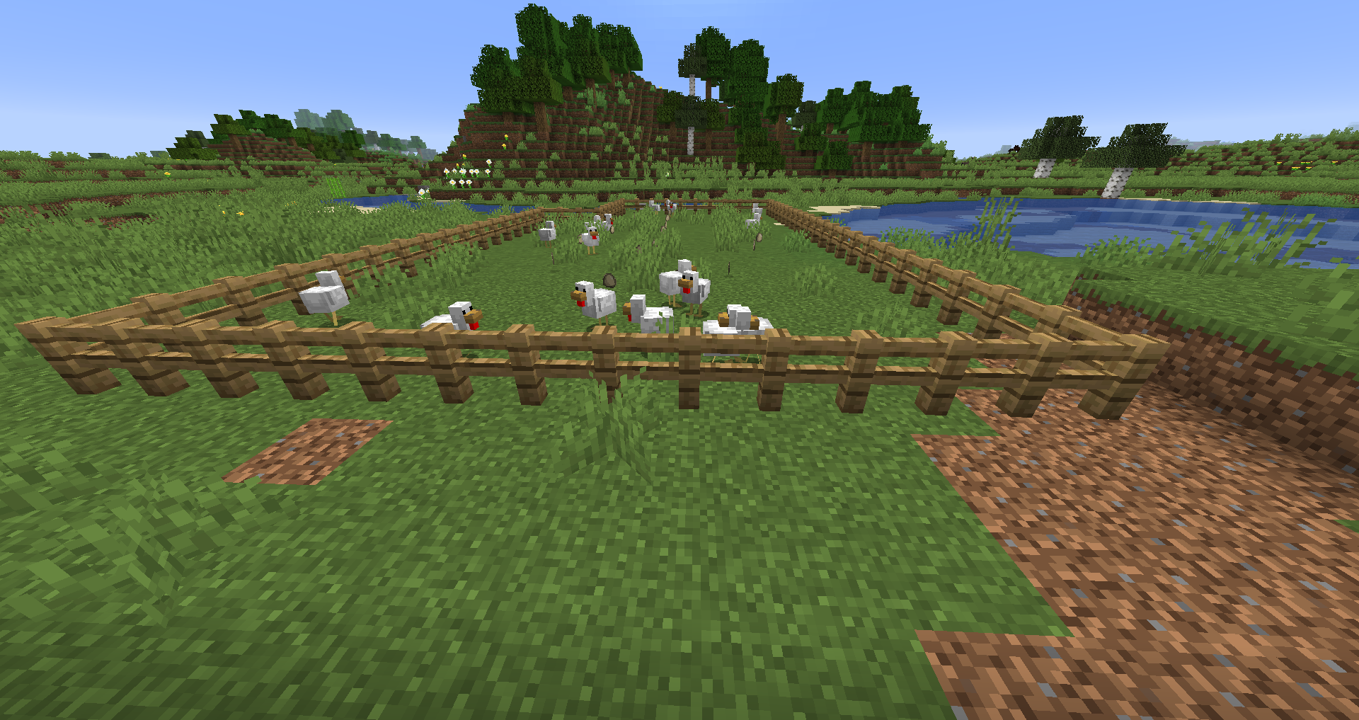 Tutorials/Egg farming – Official Minecraft Wiki