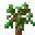 Oak Sapling (texture) JE4 BE2.png