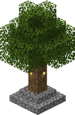 Oak at meeting point 3 of villages