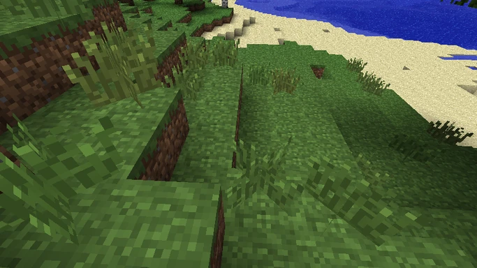 Tall grass in Beta 1.6