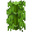 Big Leaves Old Bamboo JE1 BE2.png