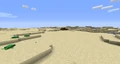 The desert-like landscape of a buffet beach world.