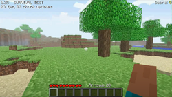 Java Edition Classic 0.25_03 SURVIVAL TEST – Minecraft Wiki