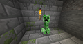 A creeper staring at the. 