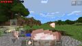 Eating particles in Pocket Edition