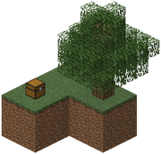 Skyblock Island