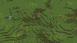 Sunflower Plains