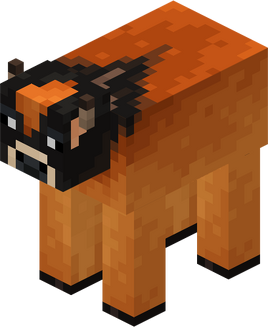 Sunset Cow