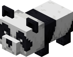 Panda cub