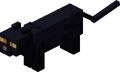 Black Cat.png