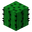 Cactus BE2.png