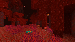 minecraft 1.16 console release date