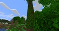 Vines in a jungle biome.
